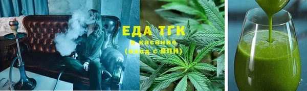 прущие грибы Ельня