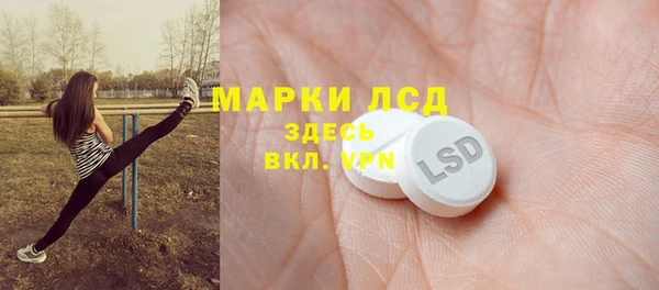 крисы Зерноград
