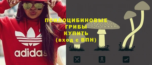 прущий лед Белокуриха