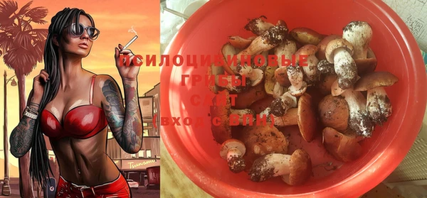 прущая мука Корсаков