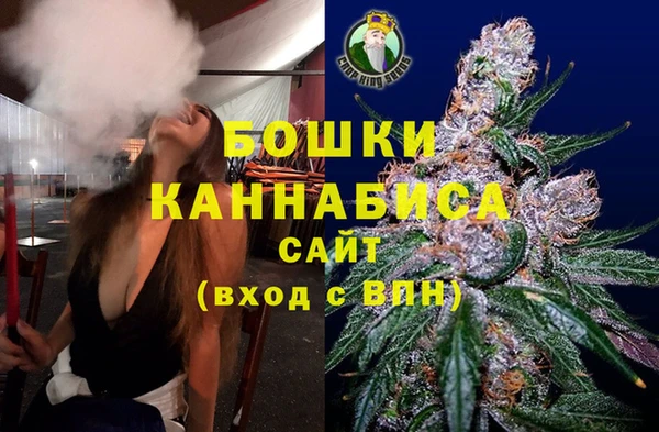 прущие грибы Ельня