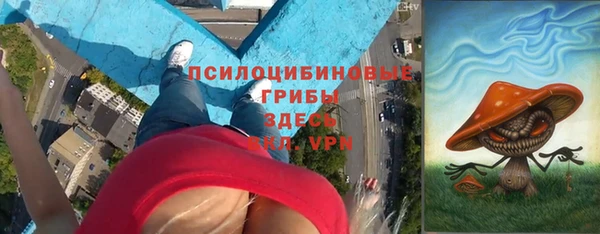 прущий лед Белокуриха