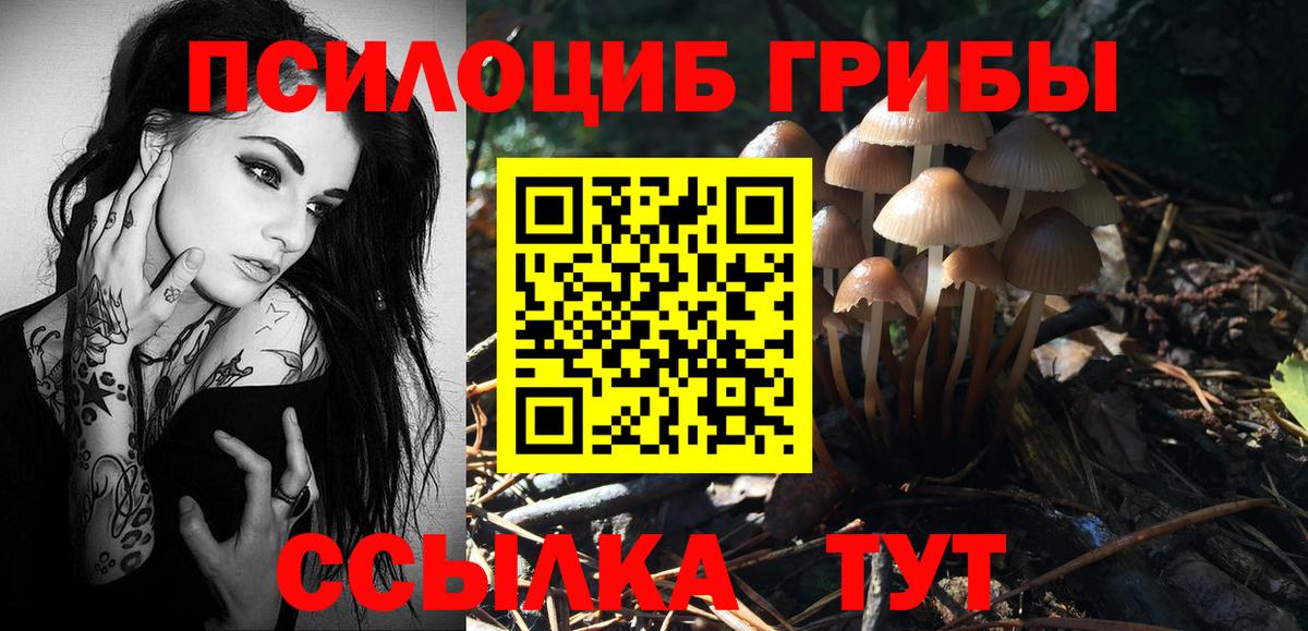 Псилоцибиновые грибы MAGIC MUSHROOMS  Вход с VPN  Галлюциногенные грибы Magic Shrooms  Видное 