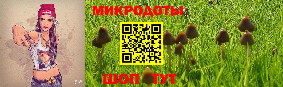 Псилоцибиновые грибы мицелий Видное