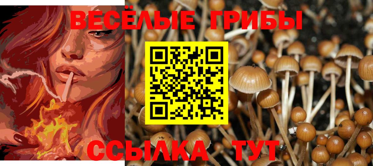 Галлюциногенные грибы прущие грибы  Видное  Псилоцибиновые грибы MAGIC MUSHROOMS 