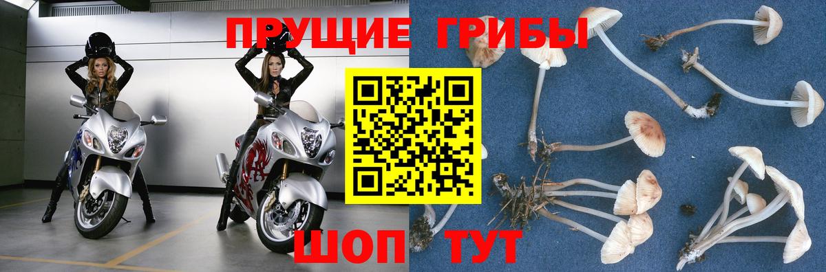 Альфа ПВП Видное